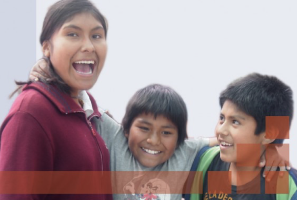 Asociación Franco Peruana de Fomento al Desarollo de Arequipa